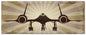 Sr-71 Blackbird 48 x 14