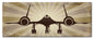 Sr-71 Blackbird 24 x 10