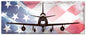 F86F Sabre American Flag 48 x 19