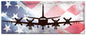 P3 Orion American Flag 48 x 19