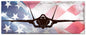 Navy F-35 American Flag 48 x 19