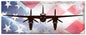 Mosquito Dh 98 American Flag 48 x 19