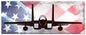 F-15 American Flag 48 x 19
