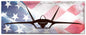 F-22 American Flag 48 x 19