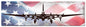 B17 American Flag 48 x 14
