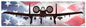A10A Thunderbolt Ii American Flag 48 x 14