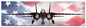 F14 Tomcat American Flag 48 x 14