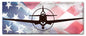 P-40 Warhawk American Flag 24 x 10