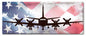 P3 Orion American Flag 24 x 10