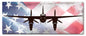 Mosquito Dh 98 American Flag 24 x 10