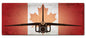 Avro Arrow Canadian Flag 24 x 10