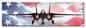 F14 Tomcat American Flag 24 x 7