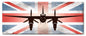 Planes Mosquito Dh 98 Uk Flag 24 x 10