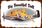 P51 Pin Up 39 X 58