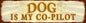 Dog Co Pilot 58 X 15