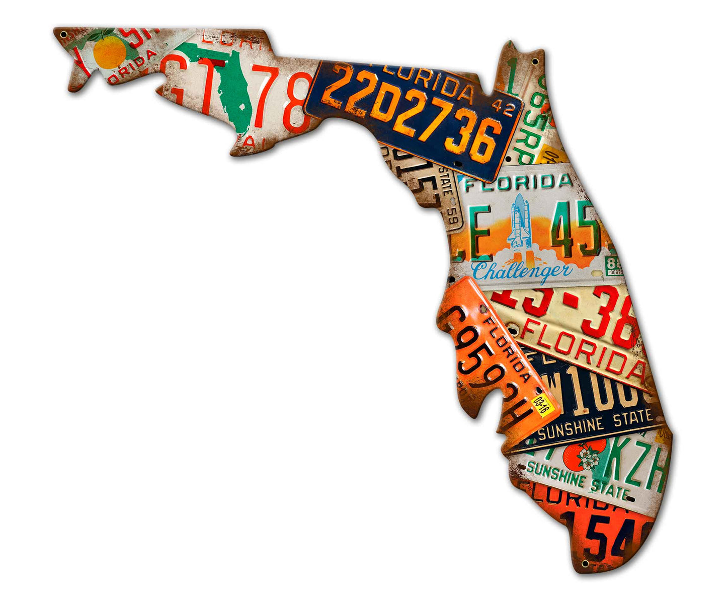 Florida License Plates 30 x 23