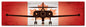 Avro Cf-100 Canuck 36 x 11