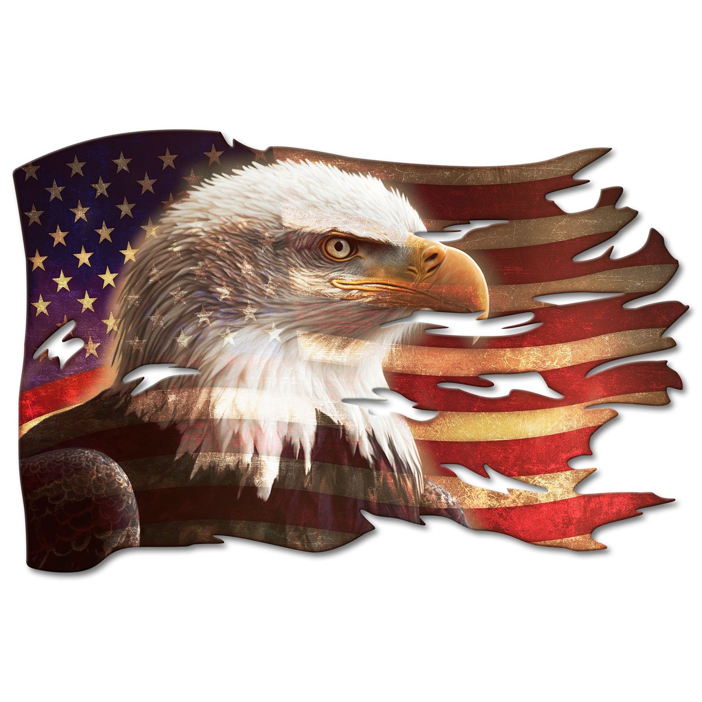 Bald Eagle 18 X 12