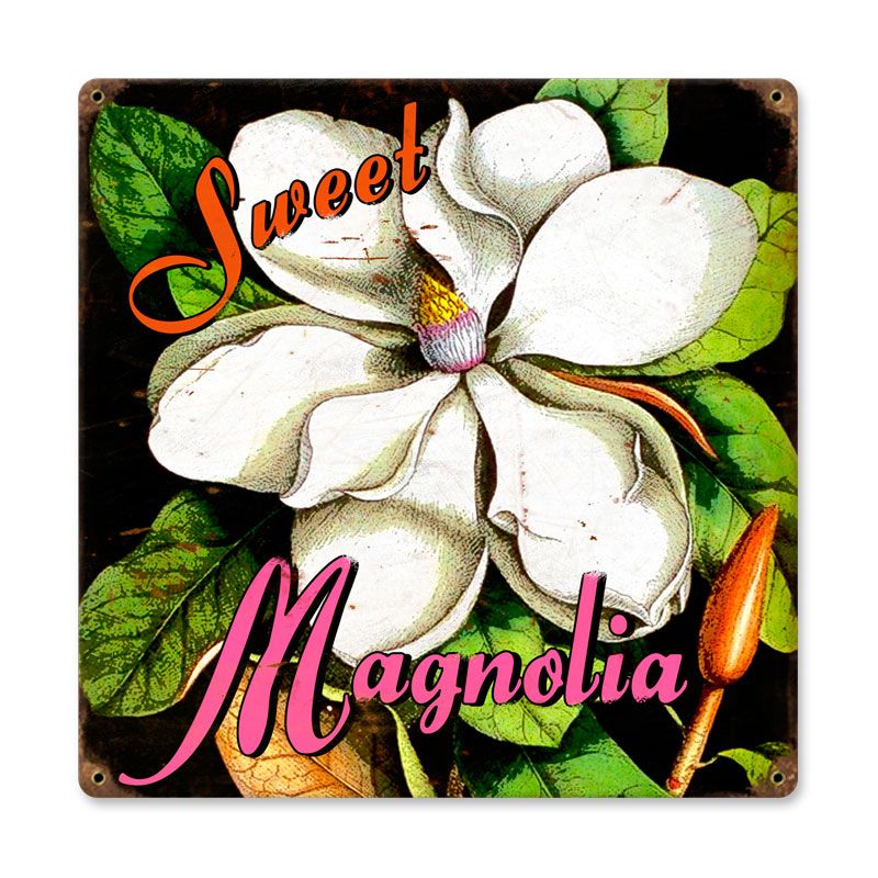 Sweet Magnolia 12 x 12