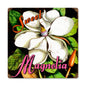 Sweet Magnolia 12 x 12