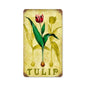 Tulip 8 x 14
