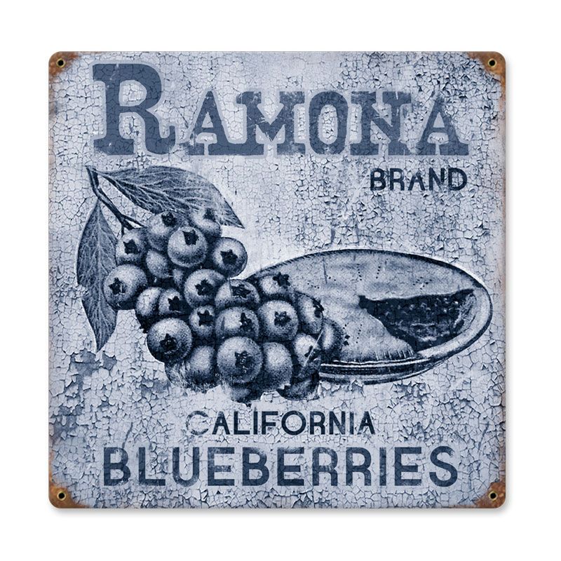 Ramona Blueberries 12 x 12