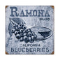 Ramona Blueberries 12 x 12