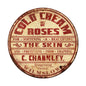 Cold Cream Roses 14 x 14
