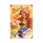 Bushells Tea 12 x 18
