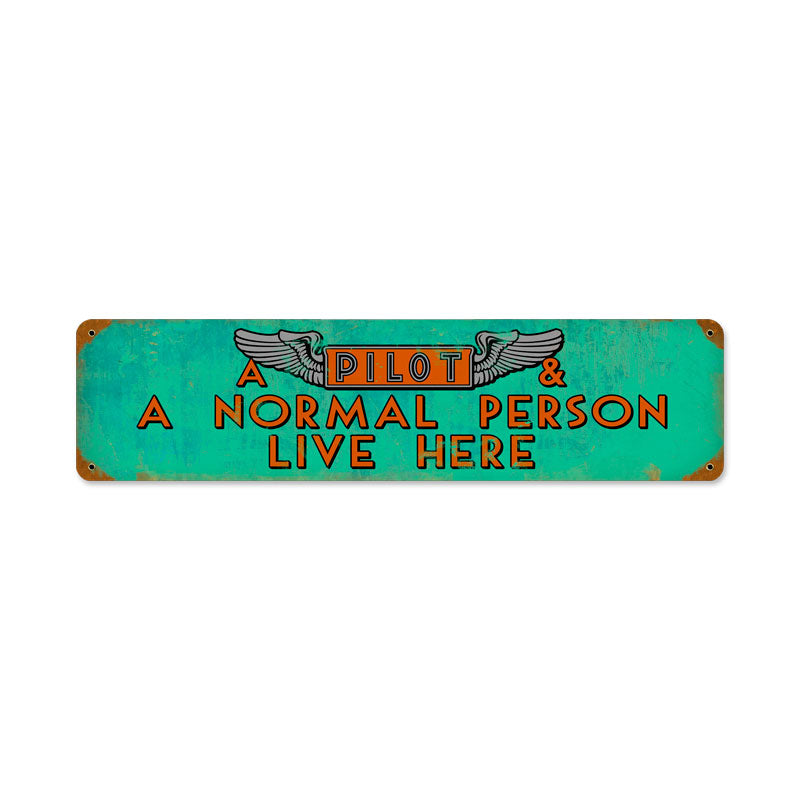 Pilot And Normal Person 20 X 5