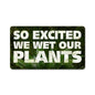 So Excited Wet Plants 14 x 8