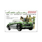 Austin Healey 3000 18 x 12