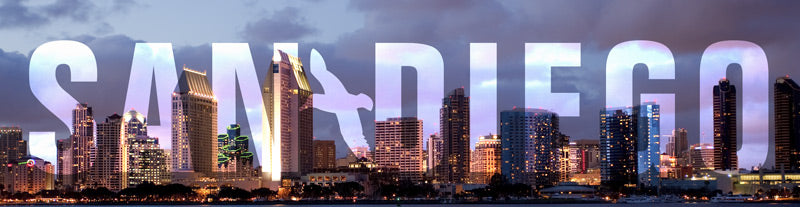 San Diego 5 X 20