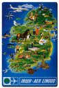Irish Aer Lingus 16 x 24