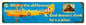 God Doesn'T Think He'S A Pilot 20 x 5