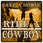 Save A Horse 12 x 12