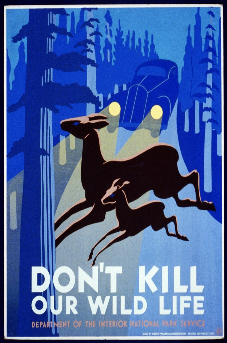 Don'T Kill Our Wildlife 12 x 18
