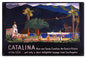 Catalina Now See Catalina 16 x 24
