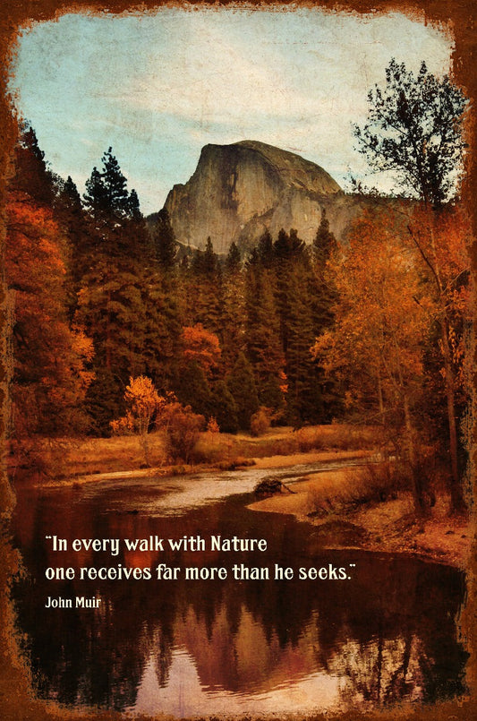 In Every Walk With Nature 16 x 24