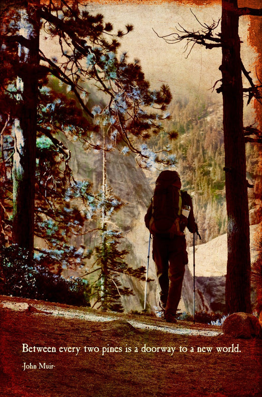 Between Two Pines 12 x 18