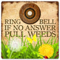 Ring Bell 12 x 12