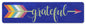 Grateful Arrow 20 X 5