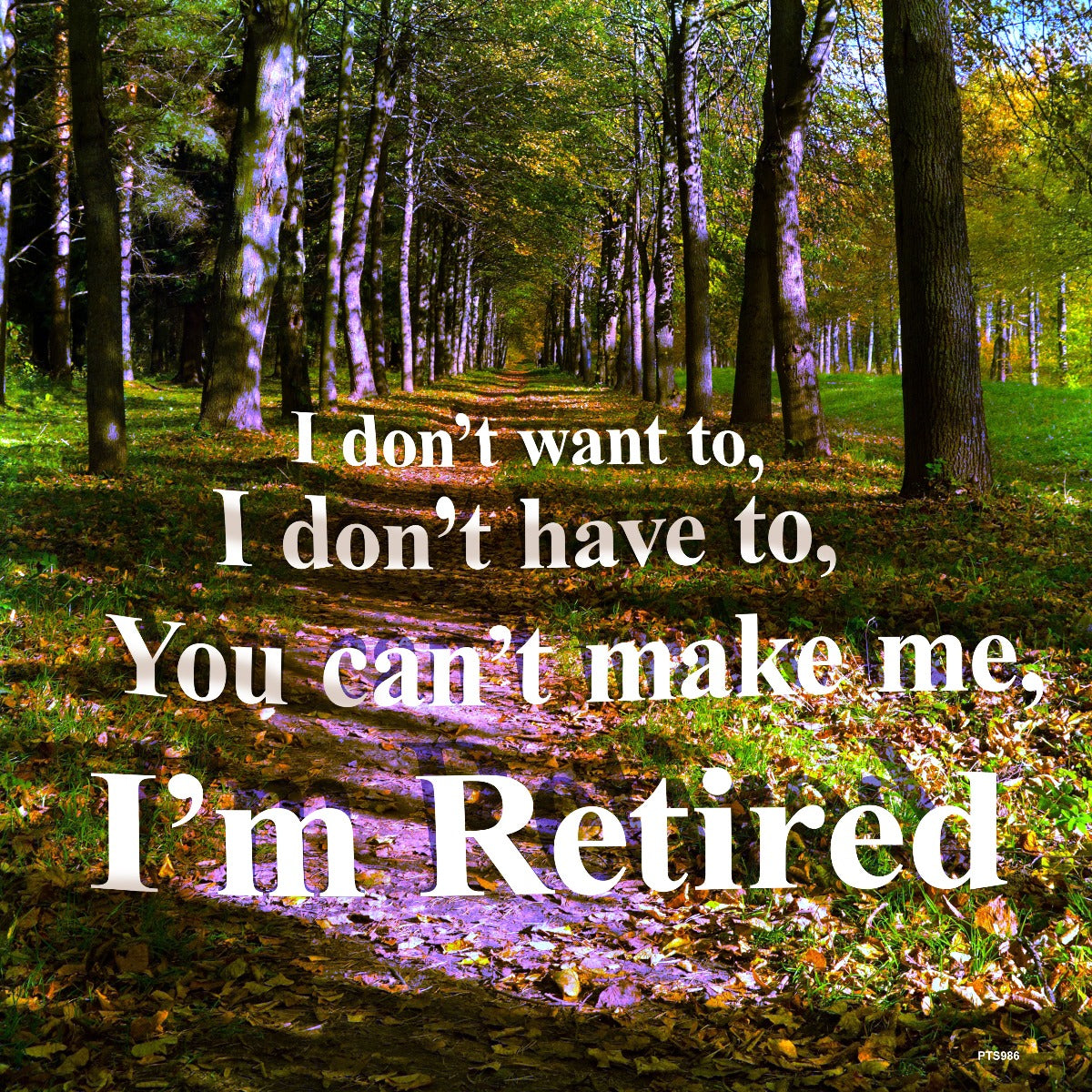 Don'T Want To I'M Retired 12 x 12