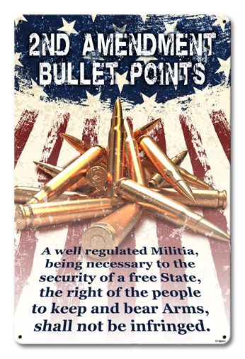 2Nd Amendment Bullet Points 12 x 18