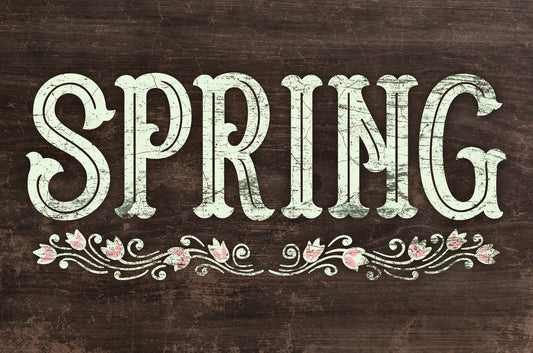 Spring 18 x 12