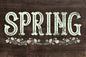 Spring 18 x 12