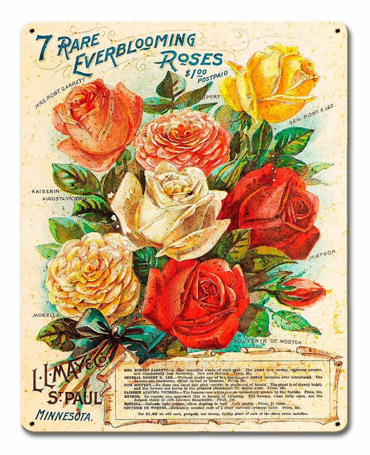 Roses 12 x 15