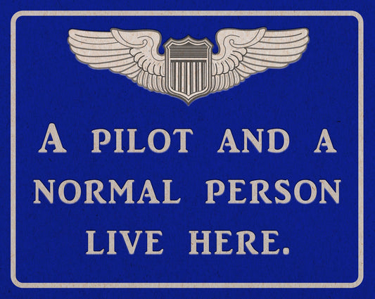 Pilot And Normal Person 15 x 12
