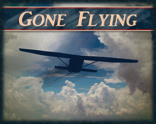 Gone Flying 15 x 12