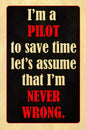 Im A Pilot 12 x 18